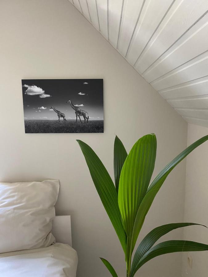 B&B Maison Blanche Gent Exteriér fotografie